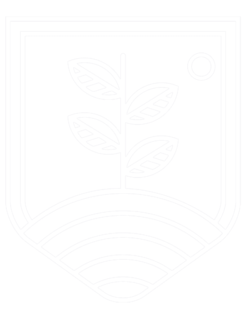 Image Back